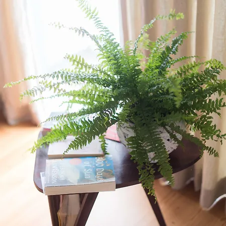 Santa Maria By Heart Of Daire Funchal