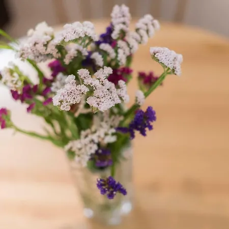 아파트 Santa Maria By Heart Of