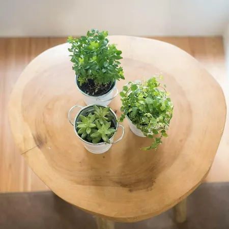 Santa Maria By Heart Of Funchal (Madeira)