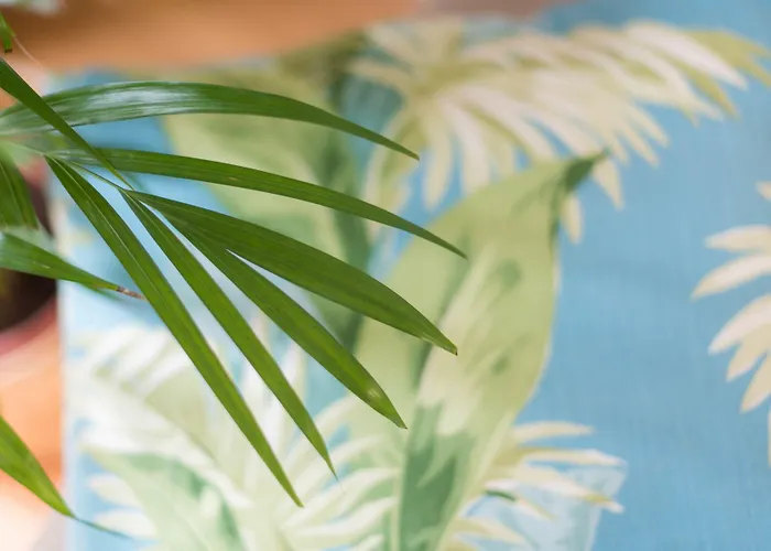 Santa Maria By Heart Of アパート *