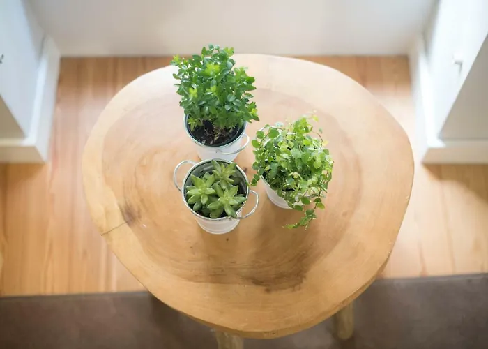 Santa Maria By Heart Of フンシャル