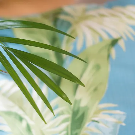 Santa Maria By Heart Of Апартаменты *