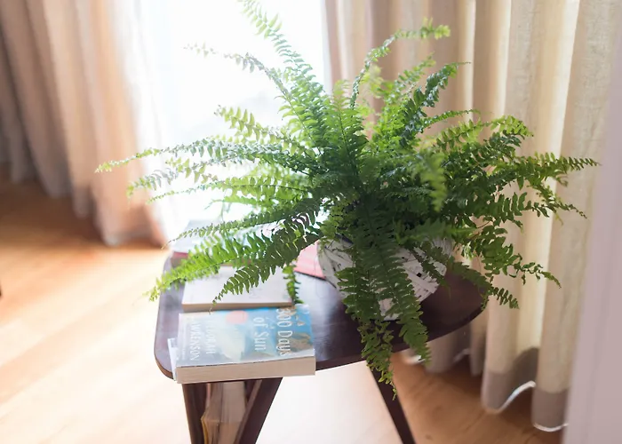 Santa Maria By Heart Of Appartamento Funchal (Madeira)