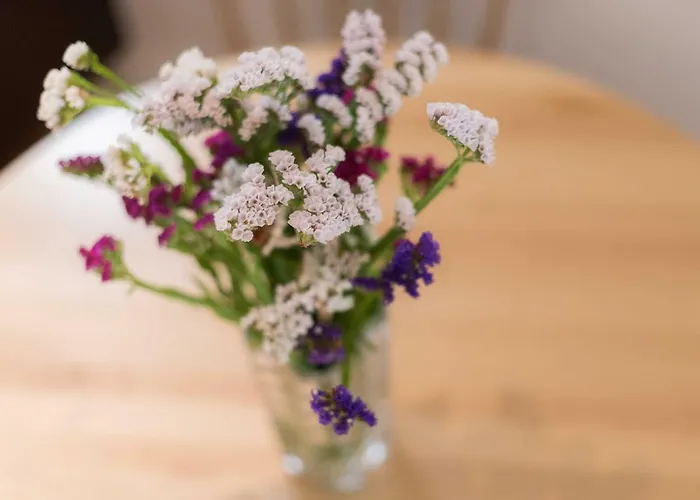 Appartamento Santa Maria By Heart Of